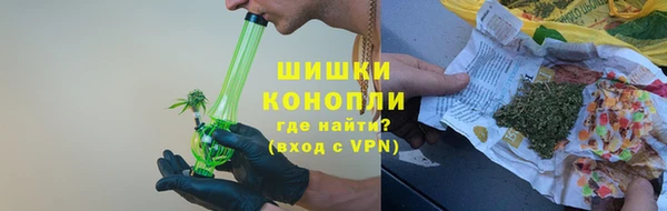 PSILOCYBIN Белокуриха