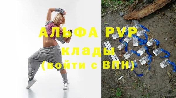 PSILOCYBIN Белокуриха