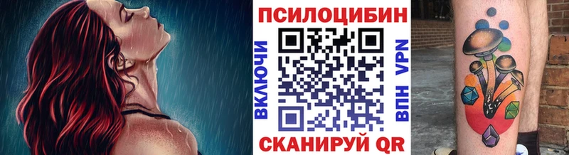 купить наркоту Раменское Галлюциногенные грибы Psilocybe